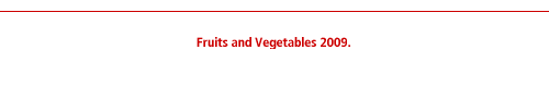 footer for example page